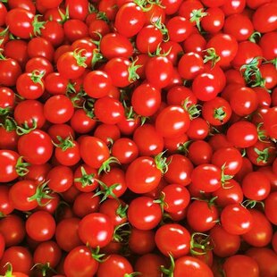 正宗云南千禧冰糖心圣女果3-5斤新鲜水果西红柿自然熟蔬菜小番茄