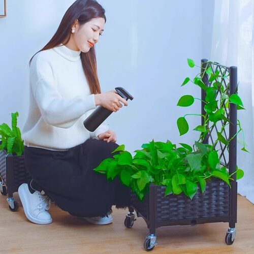 塑料仿藤条可移动带爬藤架子