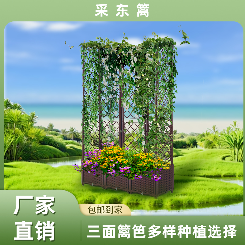 采东篱种植箱爬藤支架蔬菜花盆花箱栅栏花槽屋顶阳台种菜箱攀爬架