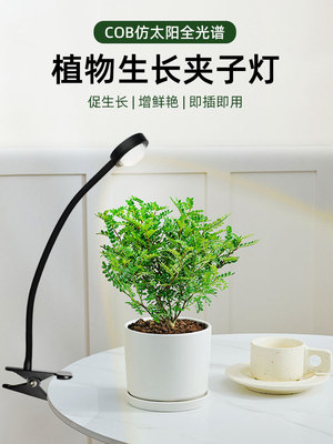 全光谱led桌面夹子水草爆藻鱼缸灯花卉盆栽生长专用绿植物补光灯