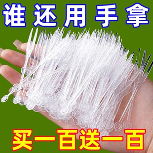 盒装一次性水果叉子专业级竹节纹透明家用商用多功能蛋糕沙拉叉子