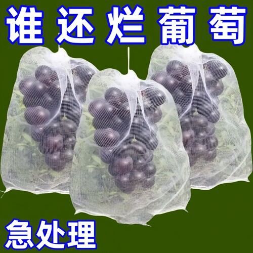 纱网葡萄套袋防鸟防虫