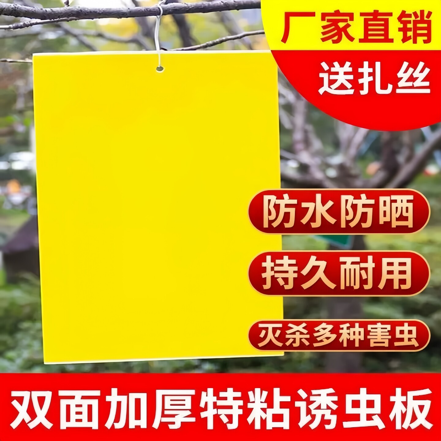 双面粘虫黄板诱虫板柑橘子树瓜果实蝇针蜂粘苍蝇贴粘虫板蓟粘虫板