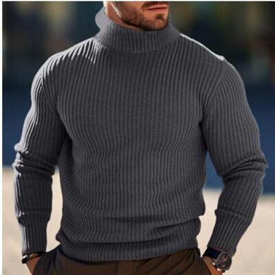 Mens Slim Knitted Pullover Casual Turtleneck Sweater Warm
