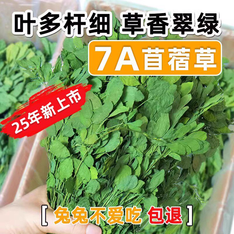 25年紫花苜蓿草干草毛重1kg兔子豚鼠荷兰猪龙R猫饲料兔子草粮苜宿
