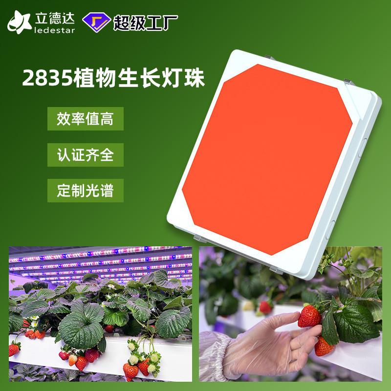 植物生长灯2835植物灯珠 植物灯2835全光谱植物灯珠 led点粉灯珠图片