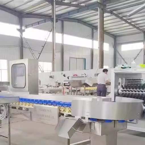 全自料动输送式称ZY-FXJ重机检测皮带式检重量分选秤药品量测盒重