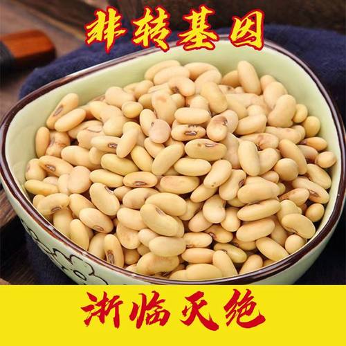 老品种非转基因5斤肾型黄豆