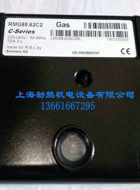 RMG88.62C2/RMG88.62A2/RMO88.53C2/RMO88.53A2利雅路程序控制器
