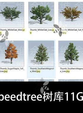 speedtree树库植物灌木素材库模型源文件11GB