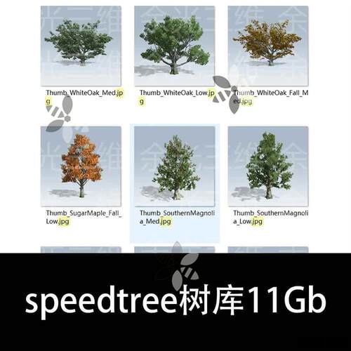 speedtree树库植物灌木素材库模型源文件11GB