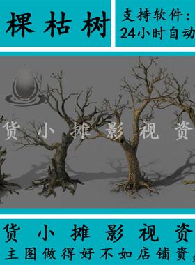 高精度写实原始森林枯树老树树根树干古树桩3Dmax/FBX/OBJ/SU模板