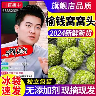 榆钱窝窝头榆钱新鲜2024当季榆钱子树叶馒头槐花速食品营养早餐