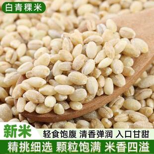 青稞米新米西藏青海农家大麦粒粗粮纯青稞大米麦仁五谷杂粮糙米饭