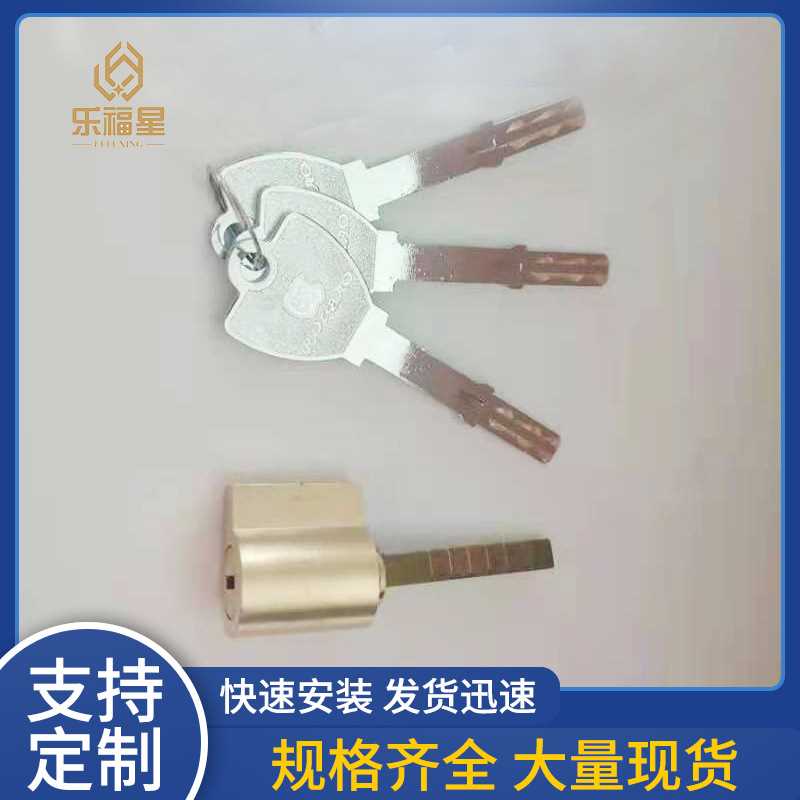 皇鼎锁芯智能锁Roalwand锁芯 指纹密码电子门锁锁芯锁头厂家直供