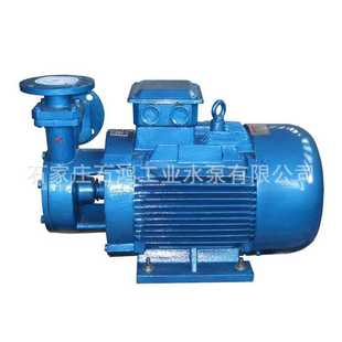 旋涡泵 40W 好 旋涡泵生产厂家 石鸿生产质优价廉 增压锅炉泵