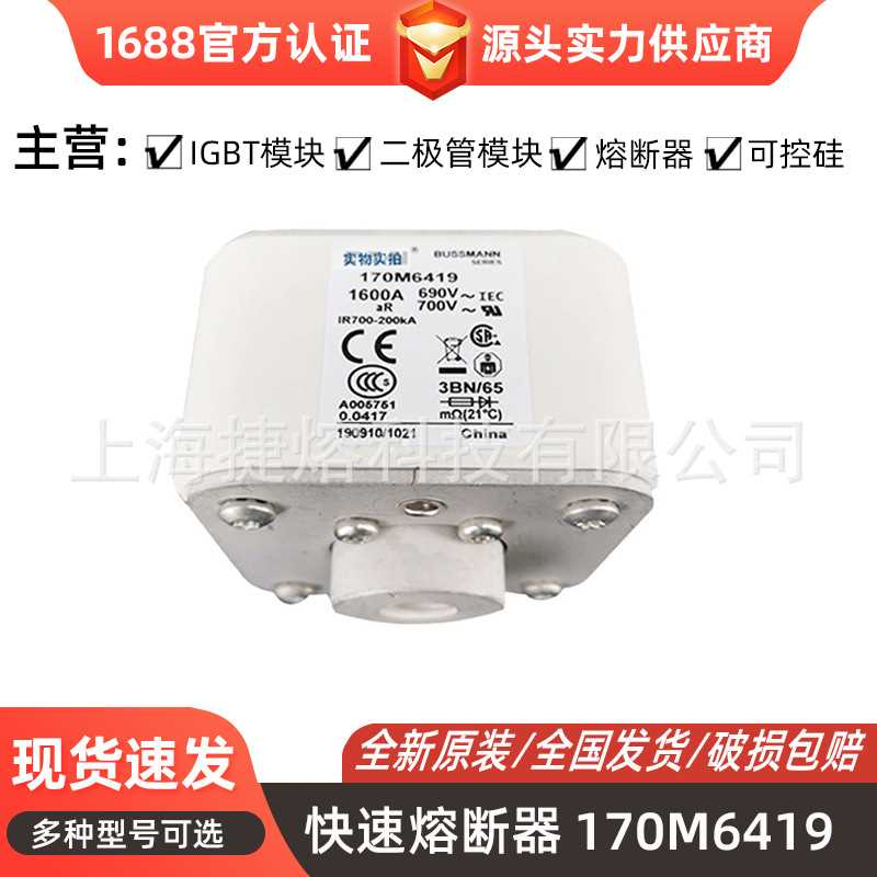 170M6419 170M6420  快速熔断器  保险丝 电子元器件 量大价优