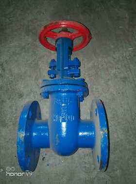 上福阀门Z44T-10 80mm铸铁法兰明C杆平行式双闸板闸阀DN50 65 100