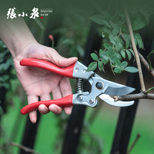 新品园林剪220mm修枝剪剪枝剪果树剪园艺剪园艺工具ZH-303i.