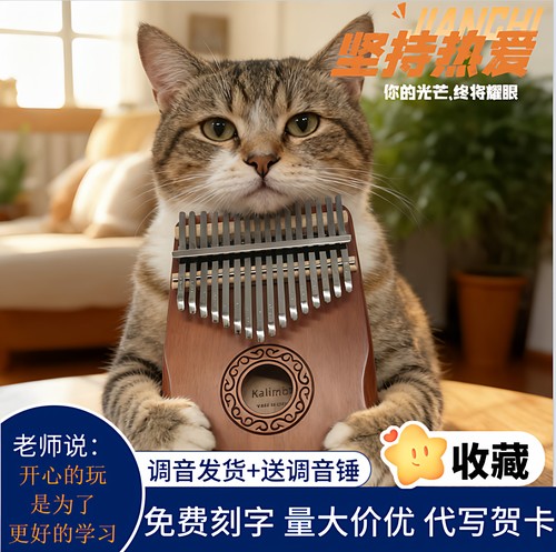 迷你17音拇指琴21音高颜值卡林巴琴刻字学生礼物便携非洲小众乐器