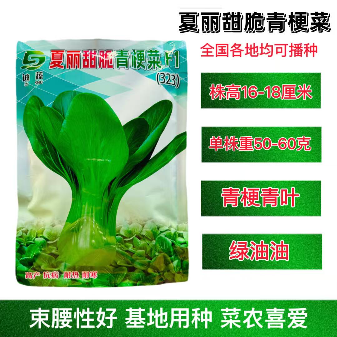 夏丽甜脆青梗菜 全国各地均可播种上海青梗菜绿叶菜脆甜无渣400克