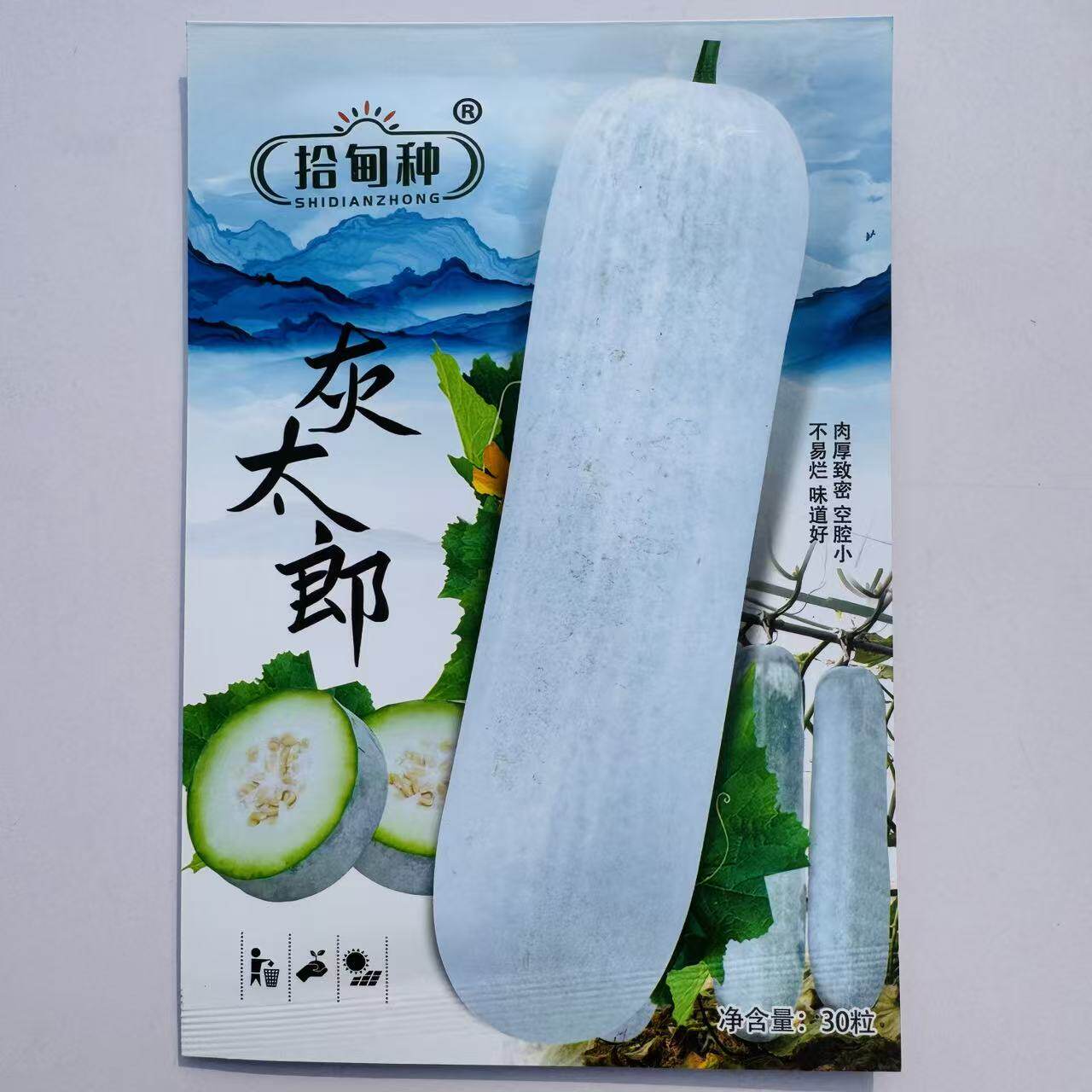 灰太狼粉皮大冬瓜种子杂交一代粉皮冬瓜种子皮白色蜡粉大冬瓜种子