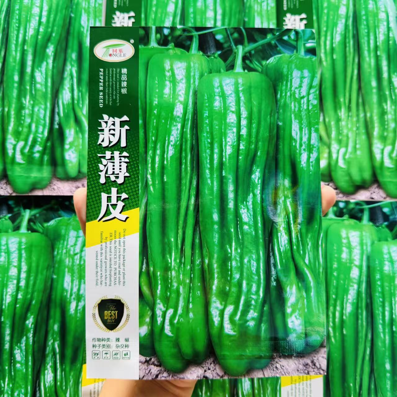 辣椒种子新薄皮青椒四季播蔬菜高产菜椒微辣盆栽早熟耐低温大椒籽