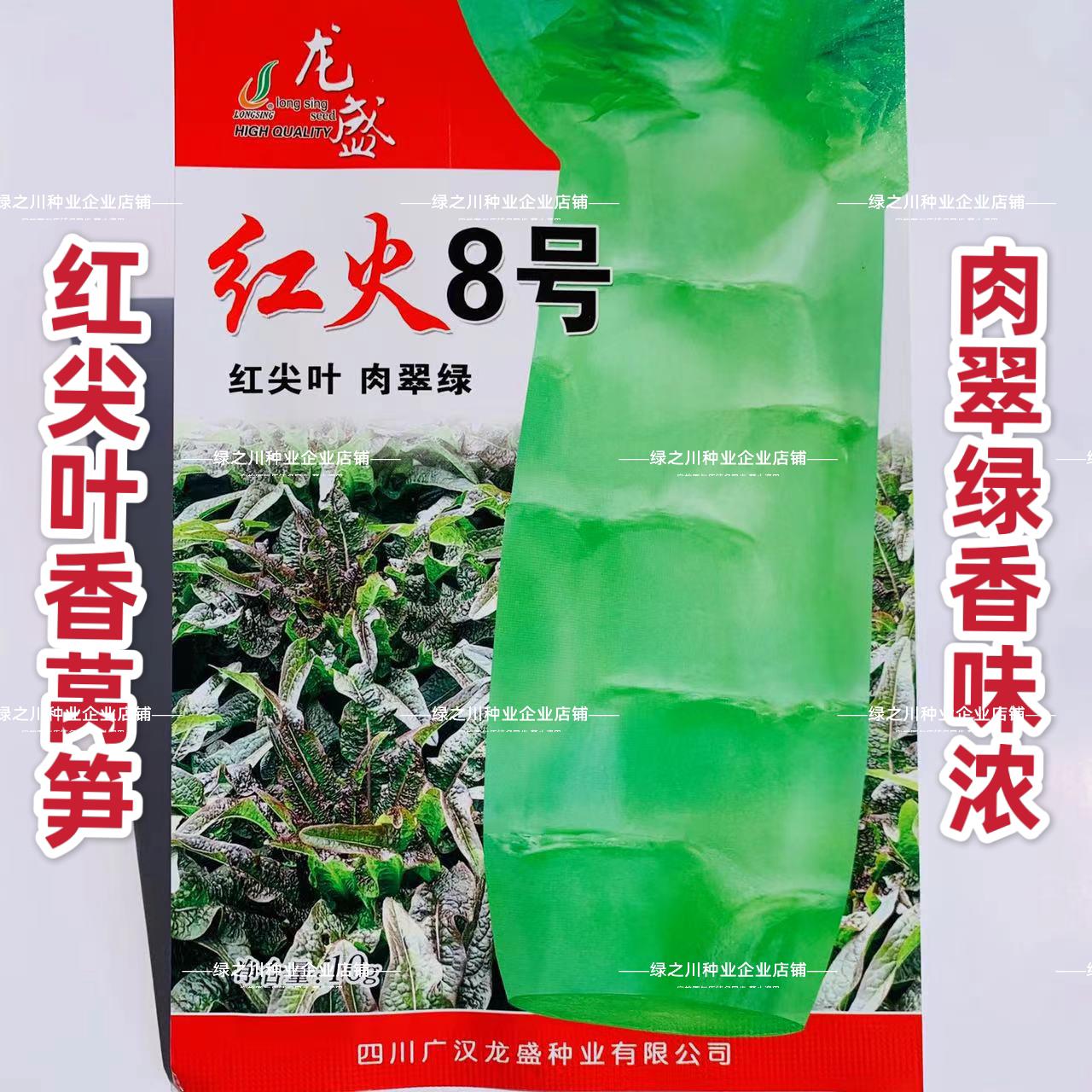 红火8号莴笋种子尖叶香莴笋种籽耐寒春秋绿肉红尖叶莴苣种子