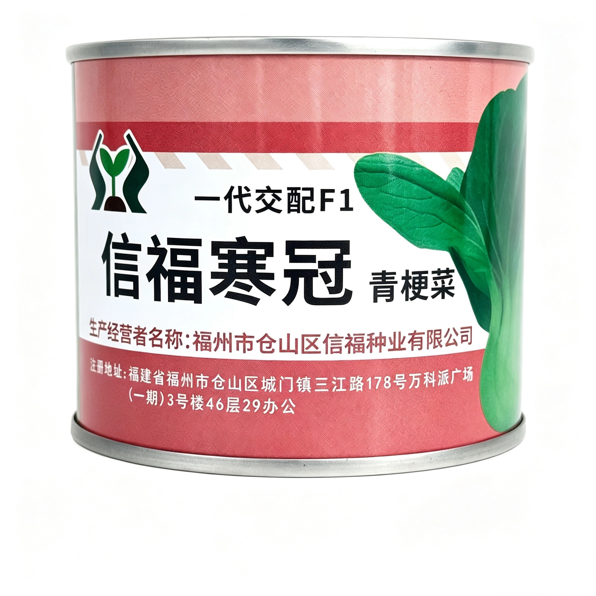 信福寒冠青梗菜种子一代杂交耐寒青菜 秋冬季大田青梗菜罐装种子
