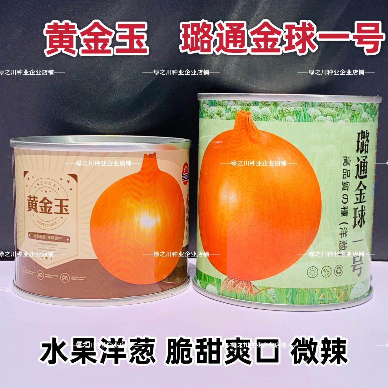 黄金玉洋葱种籽中熟黄皮洋葱种子脆甜璐通金球一号水果洋葱种籽