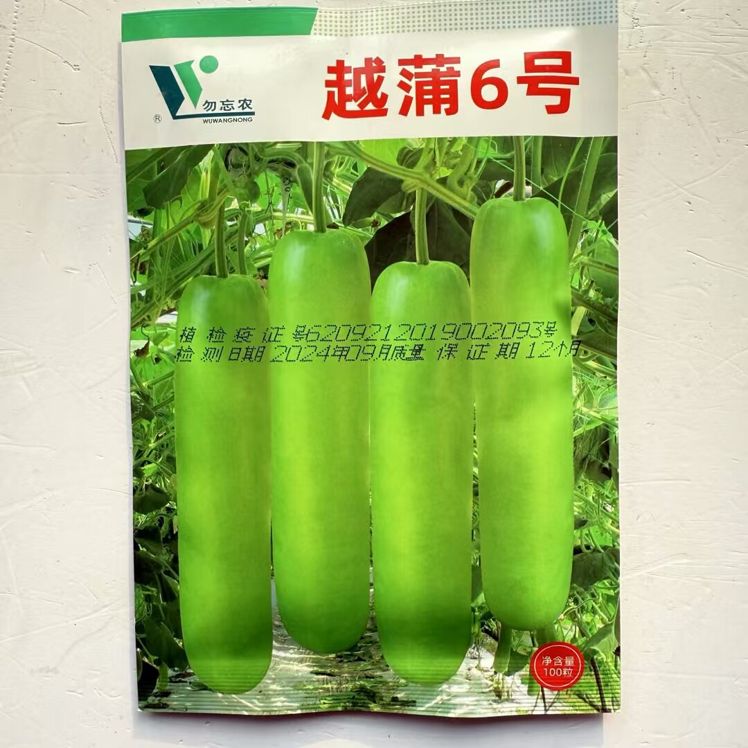 蒲瓜种子一代杂交早熟短瓠瓜短蒲品质好抗病高产色泽油量春夏季播