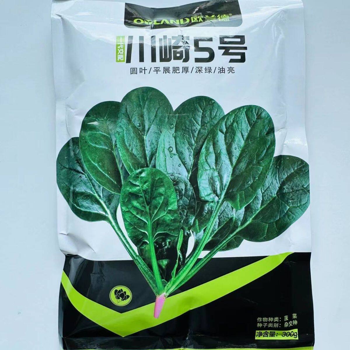 欧兰德菠菜种子川崎5号菠菜籽耐寒叶片肥厚深绿油亮圆叶菠菜种籽
