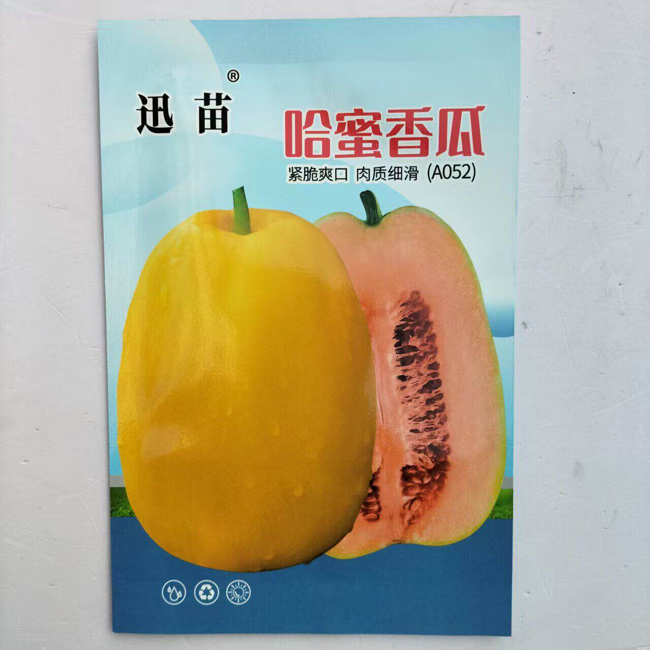 哈密香瓜种子早熟薄皮高圆形黄皮甜瓜种籽哈密瓜水果香瓜种孑四季