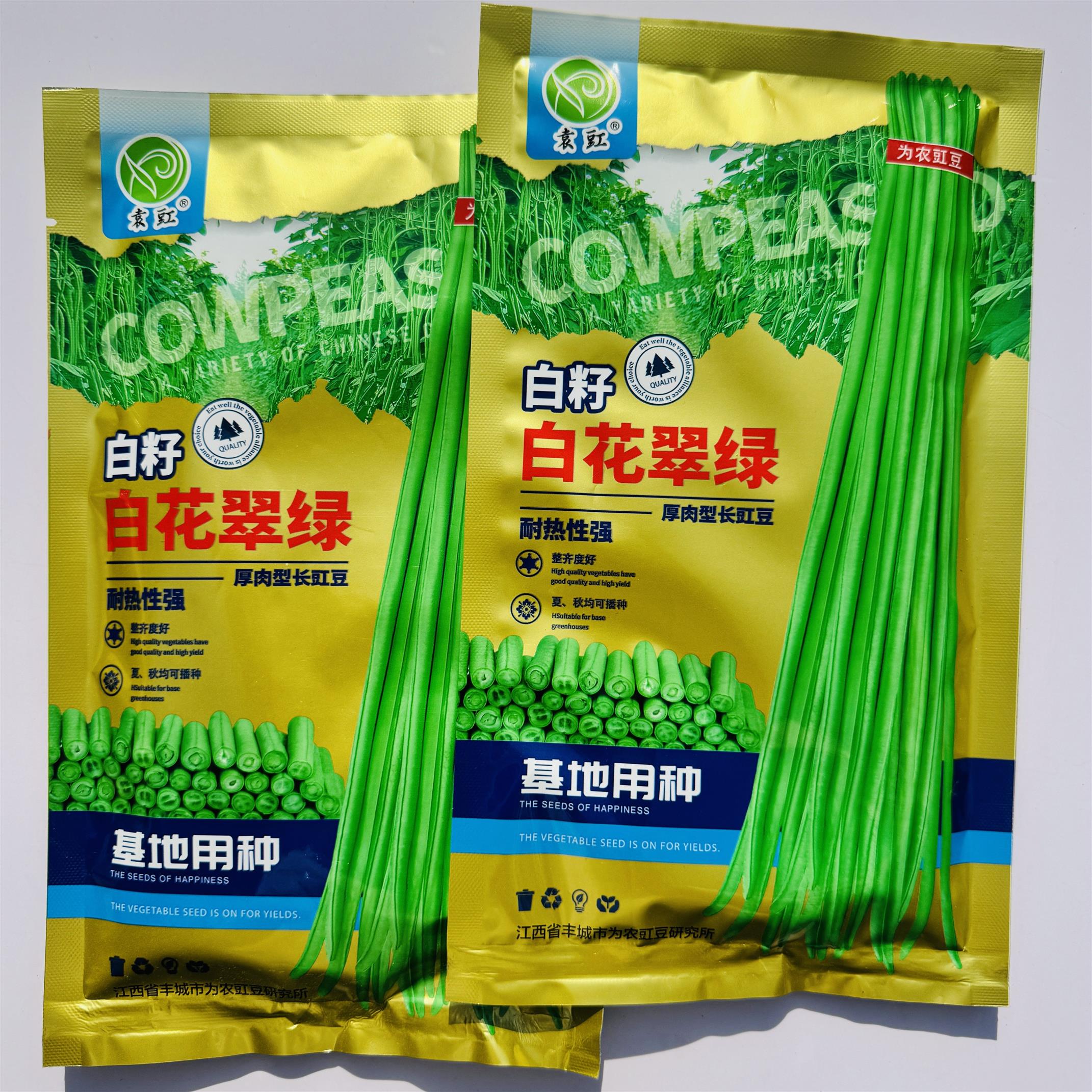 白籽白花翠绿豆角种子厚肉型长豇豆种子耐热春夏秋长豆角种籽