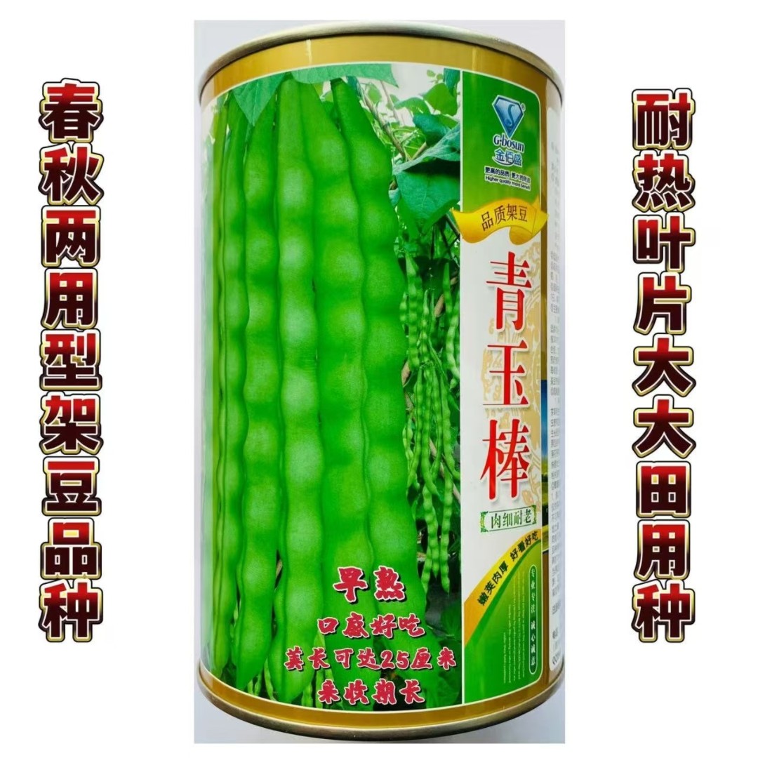 青玉棒早熟架豆角种子农家春秋播丰产耐热耐老菜豆角种籽蔬菜种孑