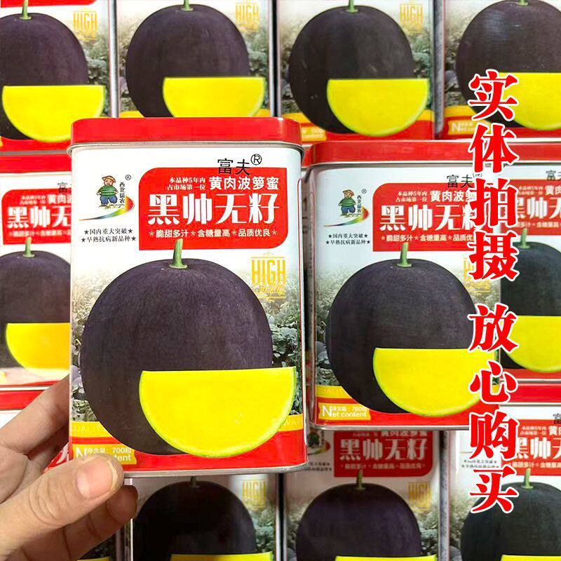 无籽黑皮黄瓤肉西瓜种子种籽四季高产早熟小甜王大京欣蔬菜水果孑