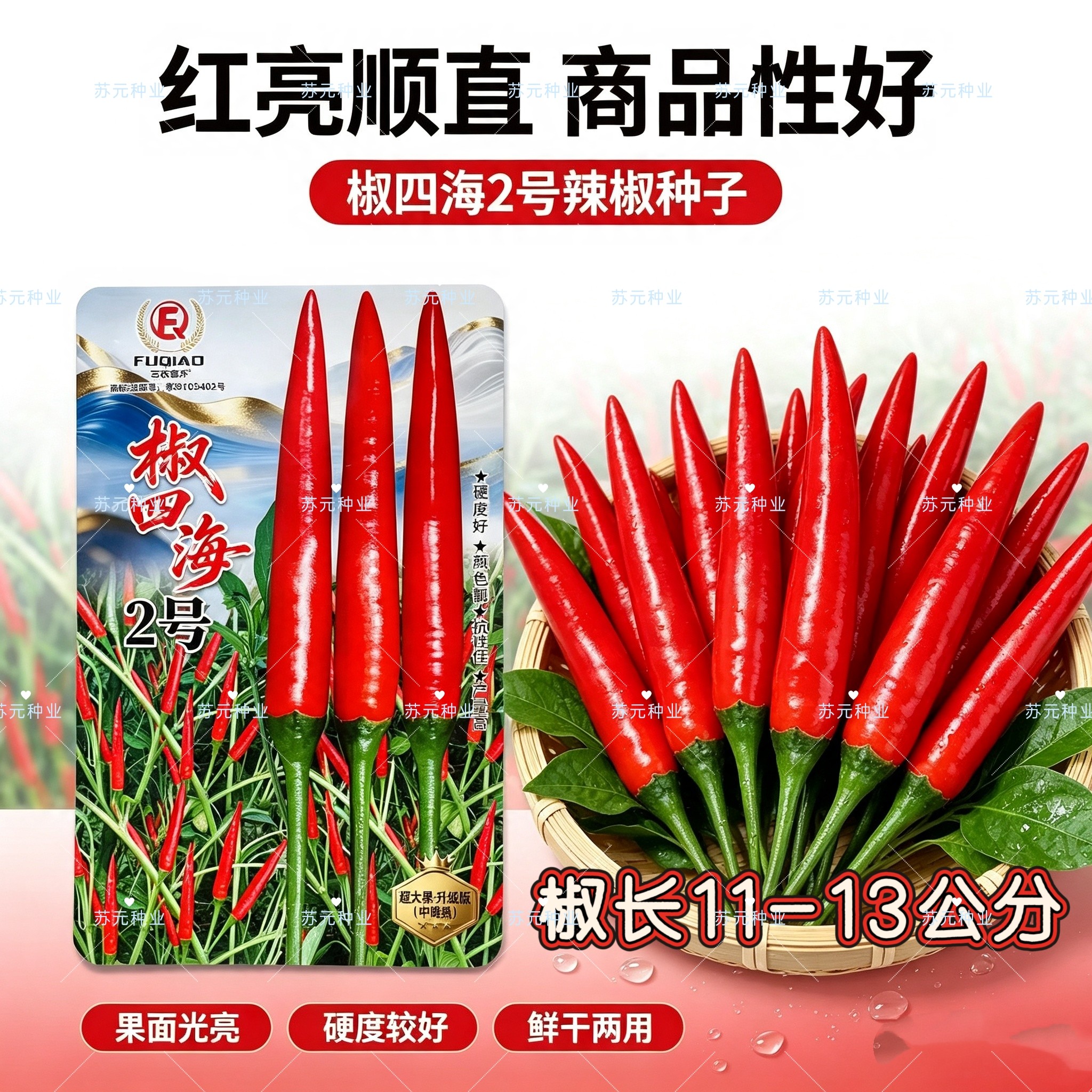 椒四海2号泰国引进单生朝天椒种子辣椒种籽小米椒抗寒耐热指天椒