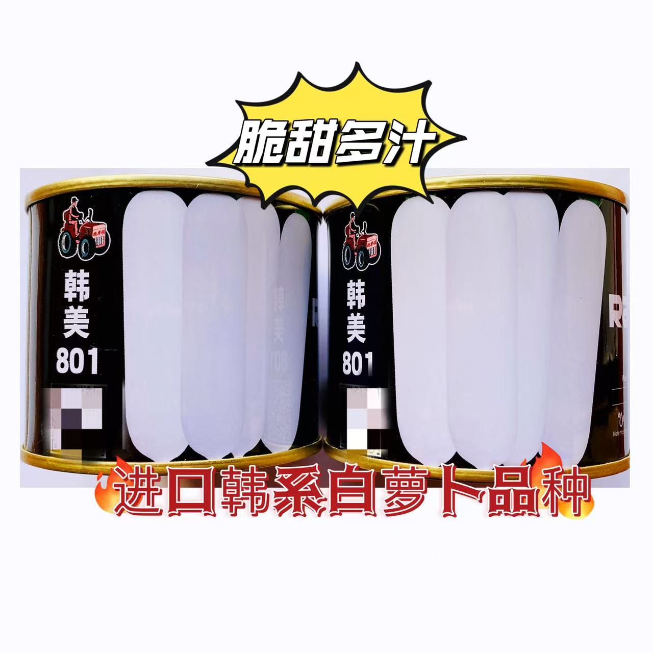 进口韩美801白萝卜种子杂交耐热夏秋55天收获板叶耐抽苔洁白耐裂