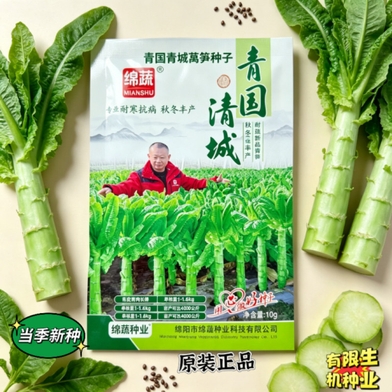 绵蔬青国清城莴笋种子 青皮青肉长棒耐寒抗病秋冬季莴苣种籽10g