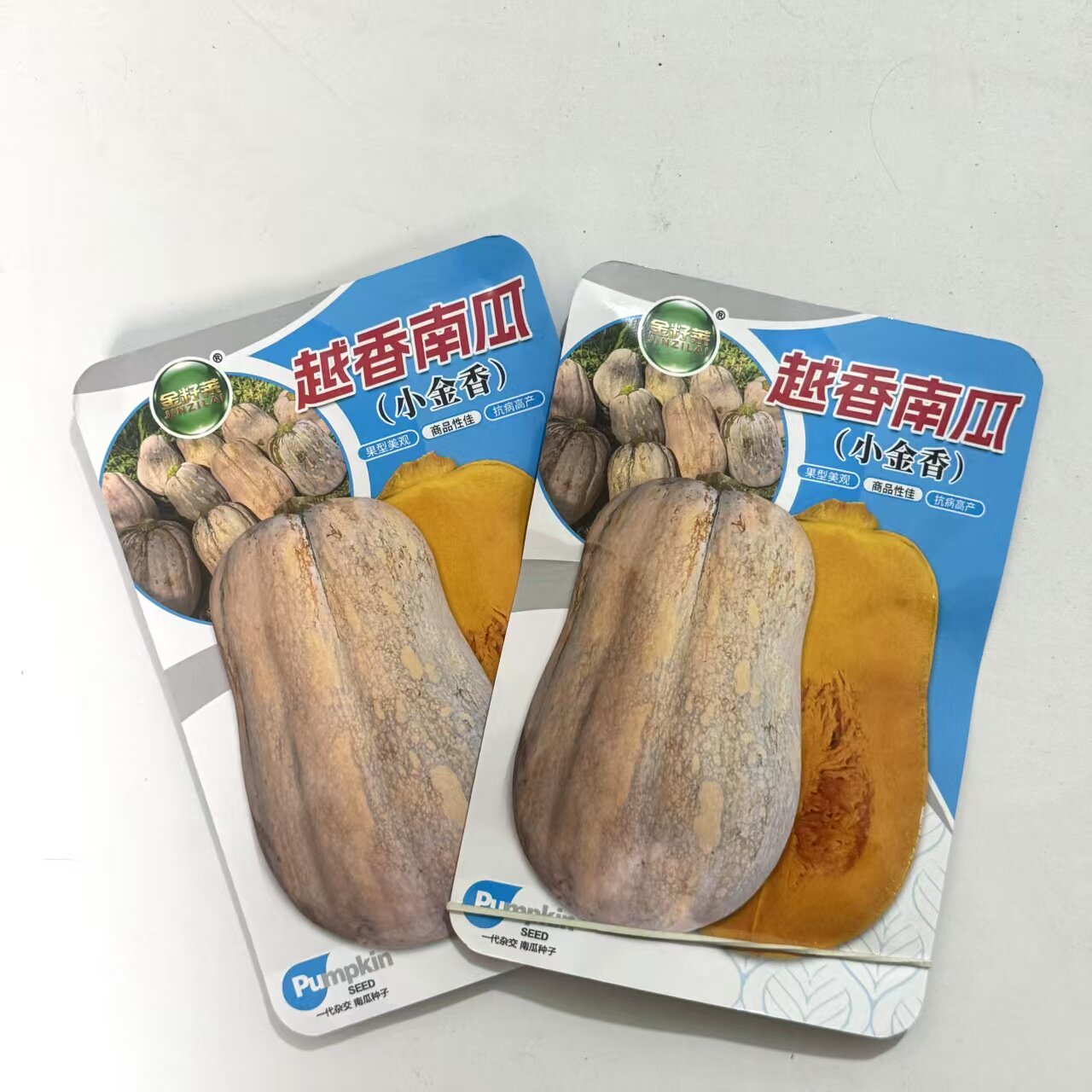 正宗越香南瓜种子早熟丰产杂交迷你南瓜种子粉糯香甜小金香南瓜籽