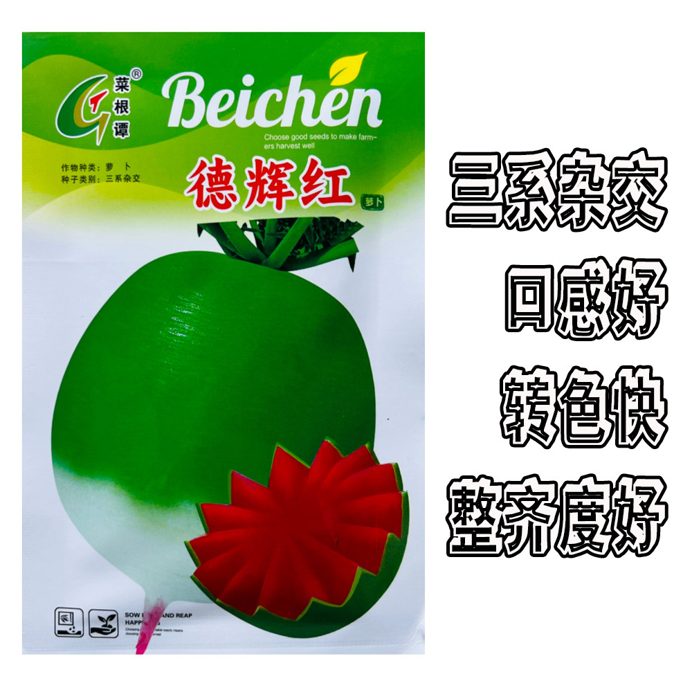德辉红正宗心里美萝卜红心萝卜种子三系杂交转色快口感好整齐度高