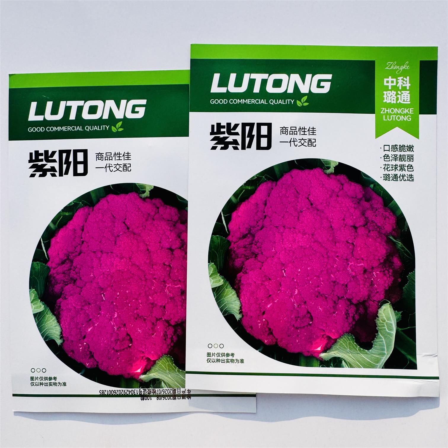 紫阳花菜种子紫色花球西兰花种子紫色松花菜种子紫色花椰菜种籽