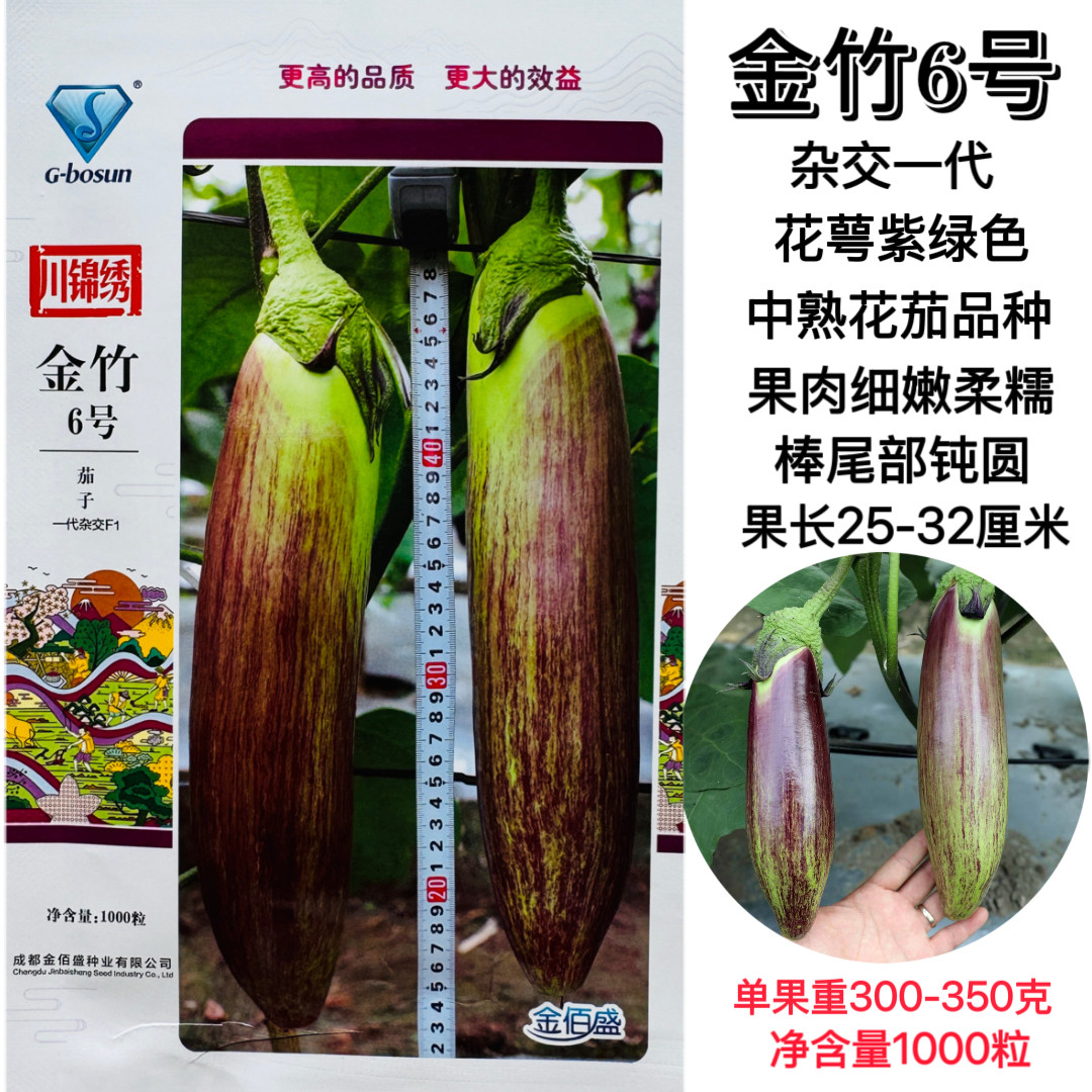 金竹丝6号茄子种子早熟花茄品种果肉细嫩软糯商品性好货架期长
