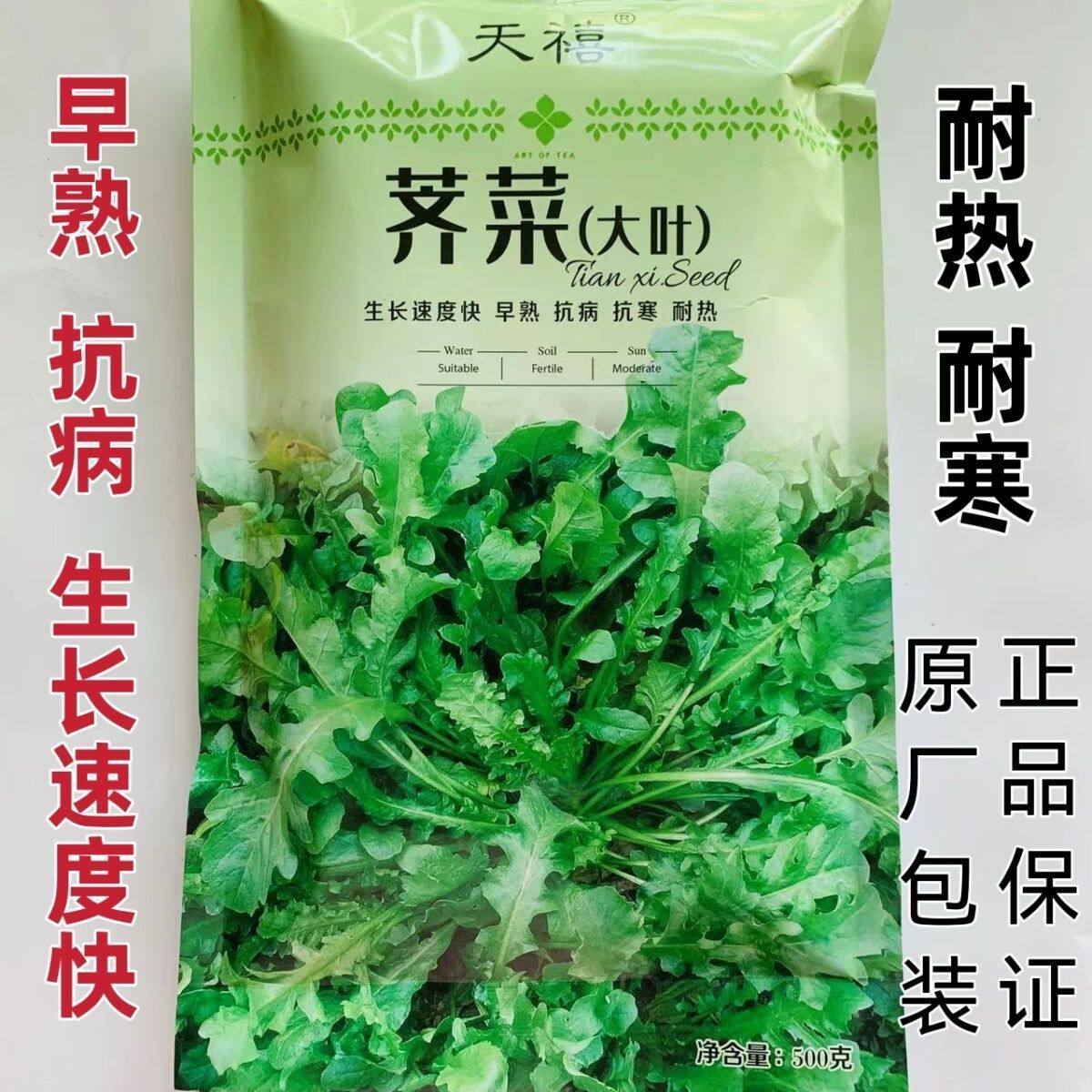 荠菜种籽 四季耐热耐寒高产早熟大叶荠菜种子原包装500克种子