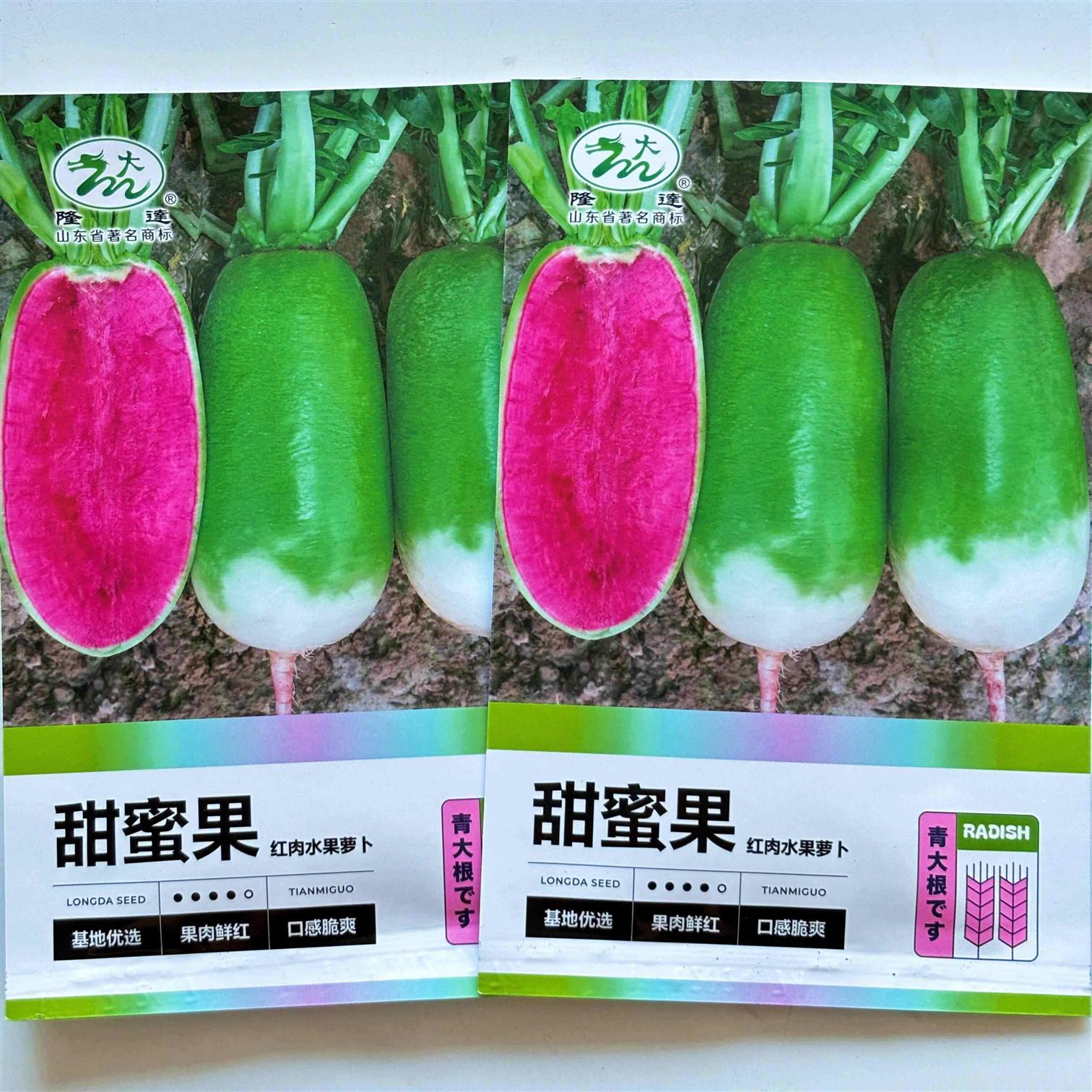 隆达甜蜜果青皮红肉水果萝卜种子口感甜脆多汁不易糠心肉鲜红萝卜