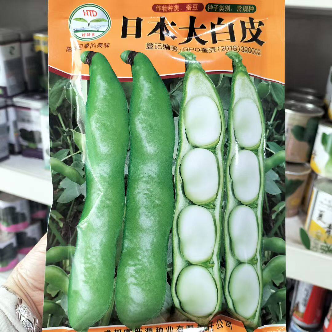 大蚕豆种籽高产日本大白皮蚕豆种子大阪豆一寸大胡豆种子豌豆种孑