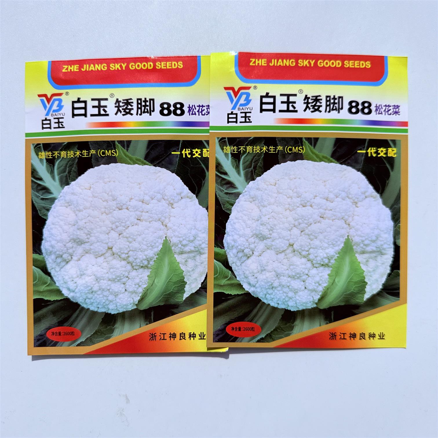 白玉矮脚88松花菜种子高产抗病耐热耐寒农家菜园种植蔬菜青菜种子