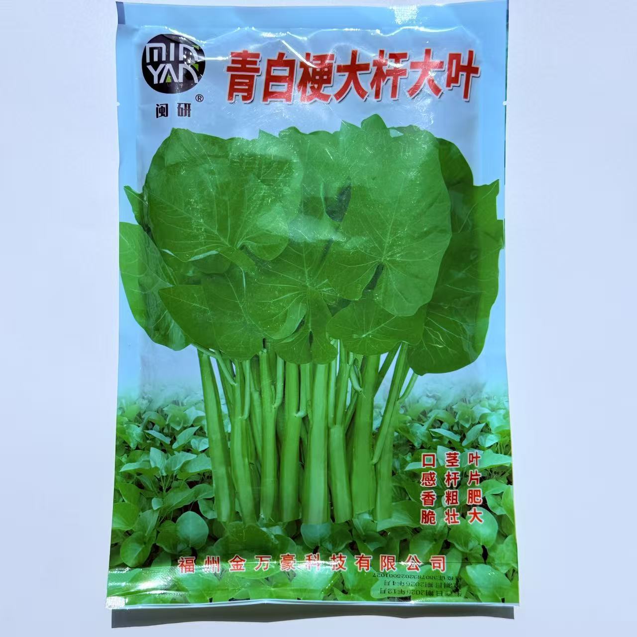 青白梗大杆大叶空心菜种子叶柄浅绿梗大叶多茬通心菜蕹菜藤菜春播