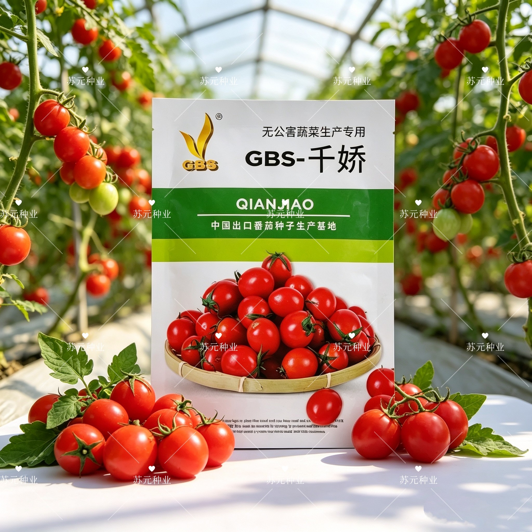 千娇小番茄种子一代杂交早熟有限生长粉果短椭圆小西红柿种子耐裂