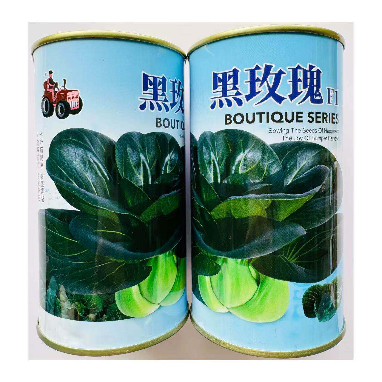 黑玫瑰油亮矮脚甜糯春夏秋冬四季可播青菜种子矮脚青菜种蔬菜种籽